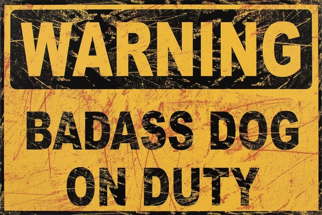 Retro dekor fémtábla, WARNING BADASS DOG, Méret:20x30cm