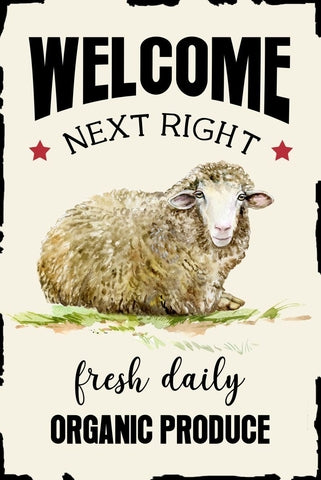 Retro dekor fémtábla, Welcome Organic Produce, Méret:20x30cm